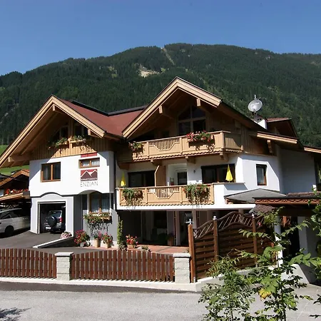Enzian Apartamento Finkenberg
