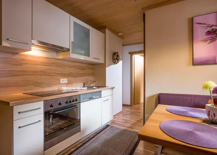 Enzian Apartamento Finkenberg